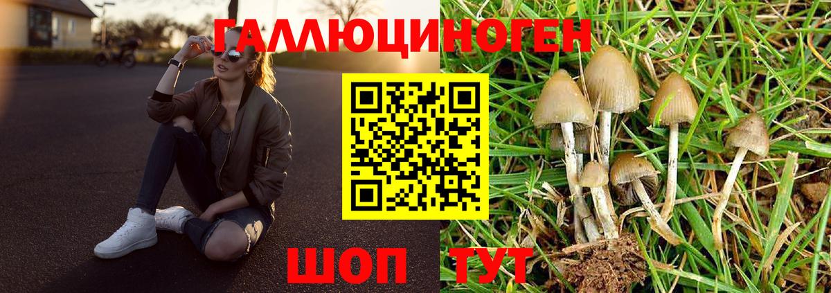 Псилоцибиновые грибы GOLDEN TEACHER Кашира