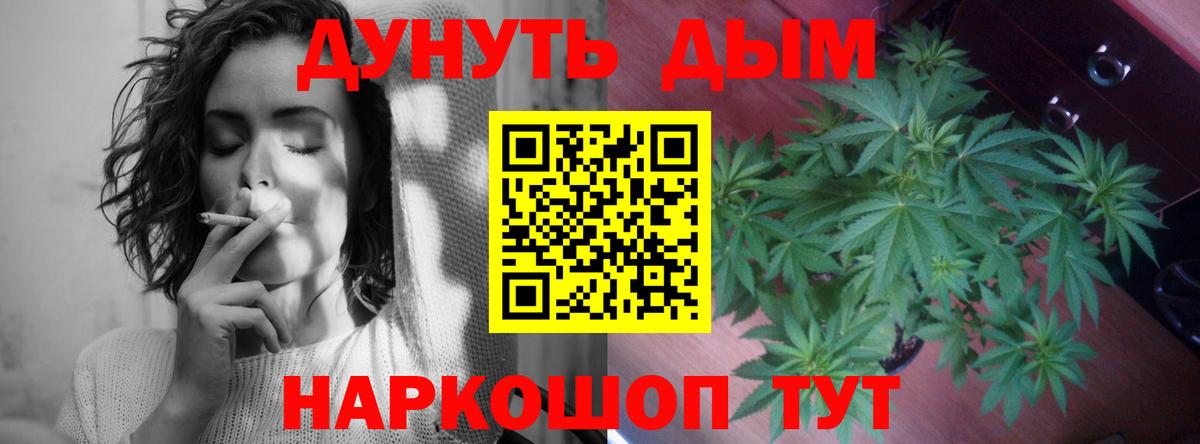 Бошки марихуана планчик  Марихуана план  Бошки Шишки Ganja  Кашира  Вход с VPN 